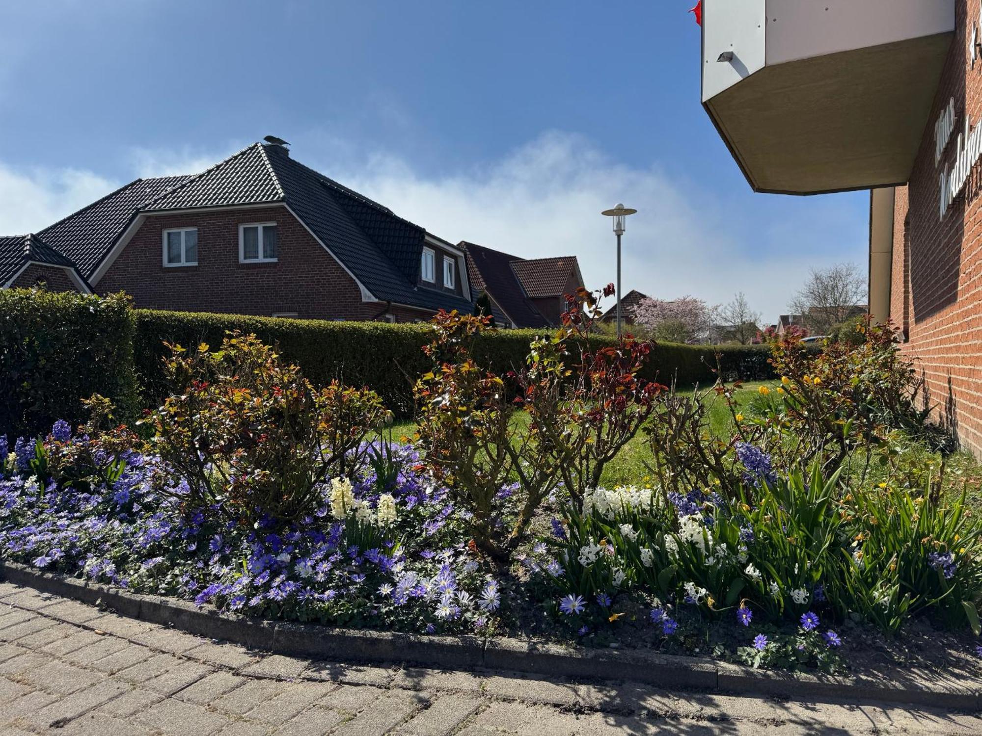 Haus Nordstrand Busum Exterior photo